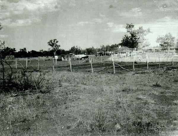 Wattie Creek garden, mid 1960s